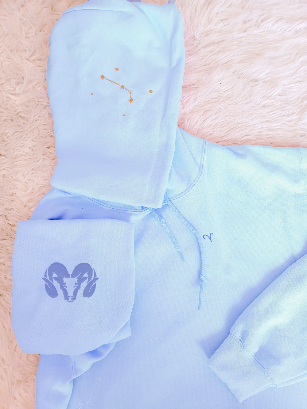 ARIES Pastel Hoodie