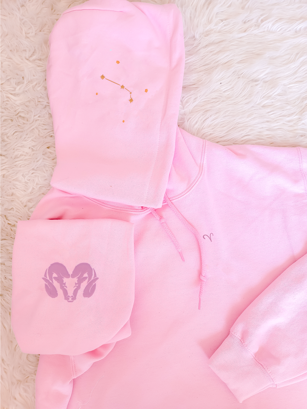 ARIES Pastel Hoodie