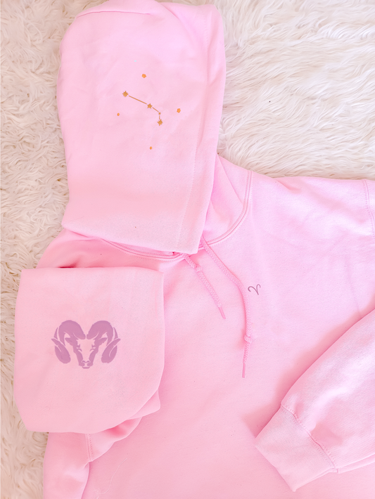 ARIES Pastel Hoodie